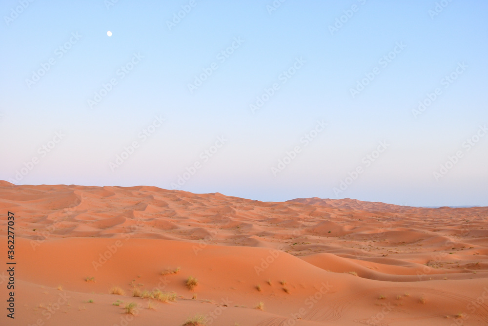 サハラ砂漠の夕景