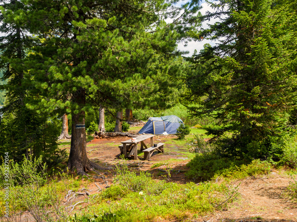 Tourist parking in the coniferous forest. Summer sunny day Tourist parking in the coniferous forest. Summer sunny day