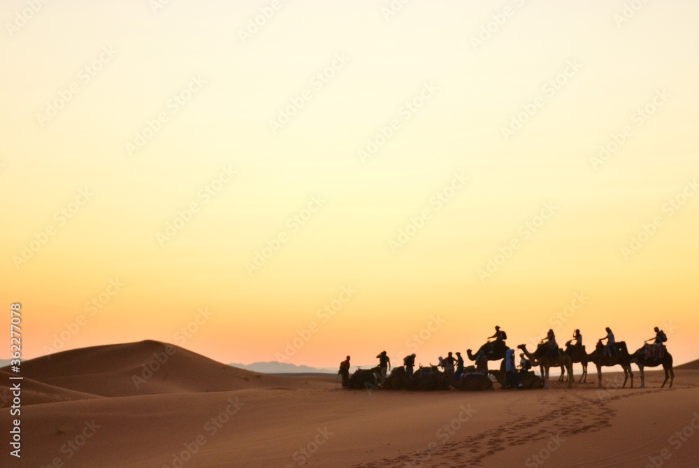 サハラ砂漠の夕景