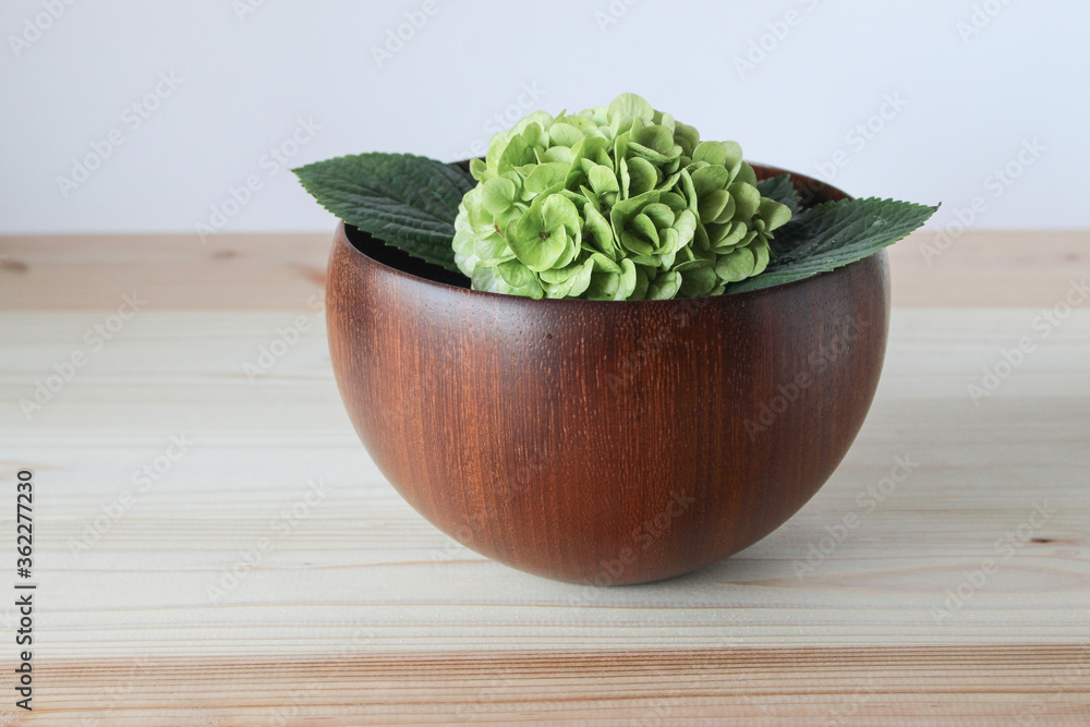あじさいの花 あじさいの花