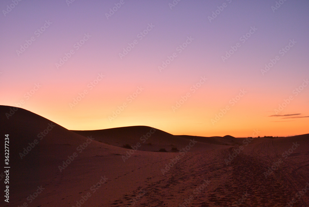 Fototapeta premium サハラ砂漠の夕景