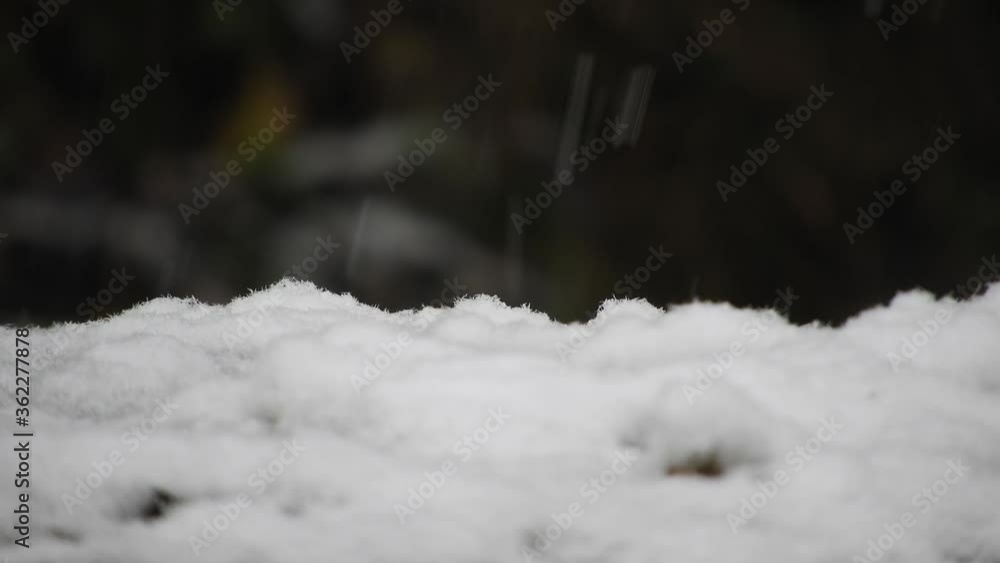 Snowing on the ground, close up, winter season Snowing on the ground, close up, winter season