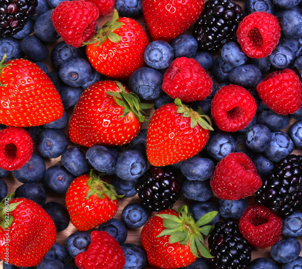Fototapeta premium berries