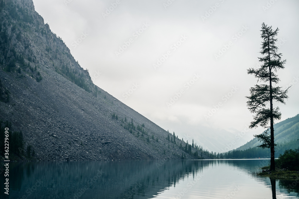 Atmospheric gloomy landscape with conifer tree on shore of mountain lake in rainy weather. Coniferous trees on mountainside in low clouds. Bleak misty scenery with alpine lake under gray cloudy sky.
