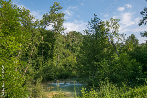 Idyllic landscape with river Elsa in the wood, Tuscany