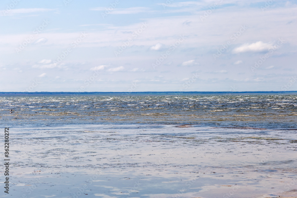 Obraz premium Lake Ebeity (Omsk region, Russian Federation), large salt lake with therapeutic mud. Beautiful natural view on blue wateer and blue sky. Trip on weekend.
