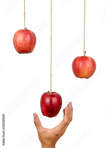 Human hand reach to grab the hanging apple isolated on white background. Low hanging fruit concept.