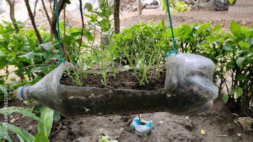 Quadro su tela Garden hacks with bottle