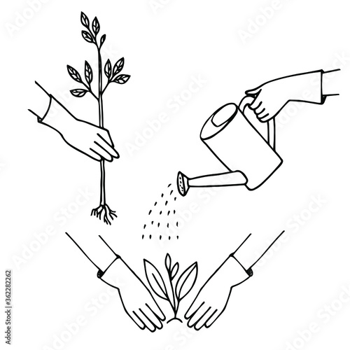 Planting a seedling, watering from a watering can. A set of hand drawn elements. Simple outline in Doodle style, vector.