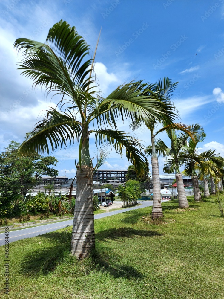 the picturesque area of La Pointe Aux Canonniers in Thailand