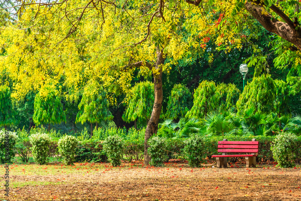 View of the landmark Hauz Khas Complex adjacent to deer park during golden shower tree blossom summer season which is now a tourist attraction in Delhi. View of the landmark Hauz Khas Complex adjacent to deer park during golden shower tree blossom summer season which is now a tourist attraction in Delhi.