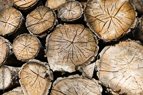 Pile of wooden logs stacked together on top of each other. Wall of stacked wood logs as background. Stack of firewood close up. Logs cuts prepared for fireplace