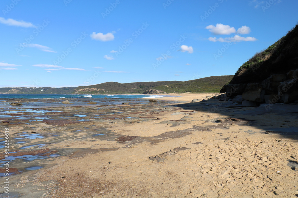 Burwood Beach with Australian Bush Growing Down to the Sand