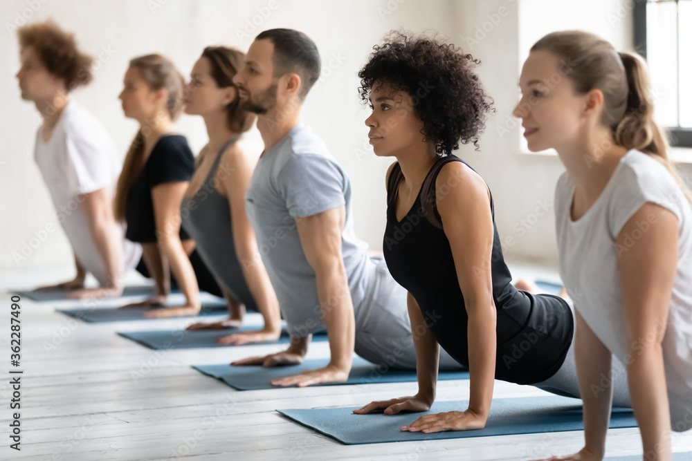 Side view motivated young healthy mixed race sporty people standing in row, practicing Cobra pose on floor mat at yoga class, stretching back muscles in Bhujangasana position, working out indoors. Side view motivated young healthy mixed race sporty people standing in row, practicing Cobra pose on floor mat at yoga class, stretching back muscles in Bhujangasana position, working out indoors.