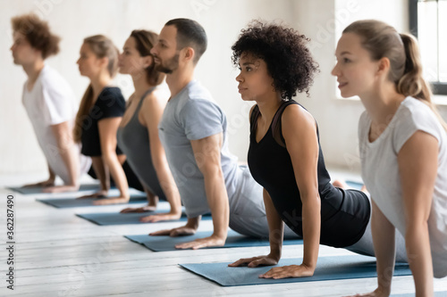 Side view motivated young healthy mixed race sporty people standing in row, practicing Cobra pose on floor mat at yoga class, stretching back muscles in Bhujangasana position, working out indoors.