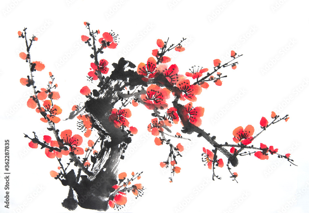 Fototapeta premium Chinese painting of flowers, plum blossom on white background.