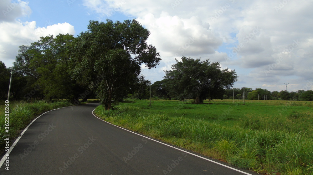 Fototapeta premium road in the countryside