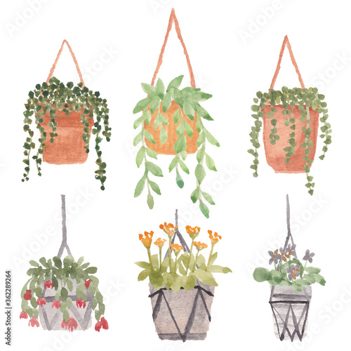 Hanging plant with pot watercolor illustration set