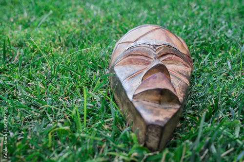 longitudinal effect blurred mask on the grass
