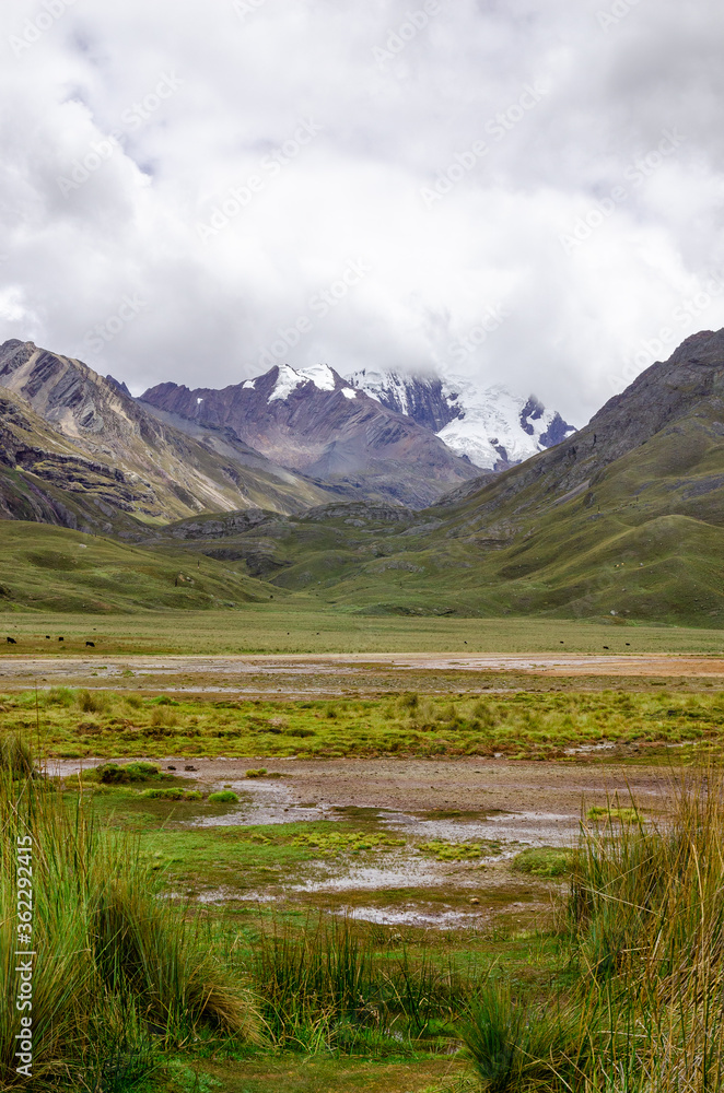 View of a lagoon in landscape Huascaran with green nature and snow mountains
