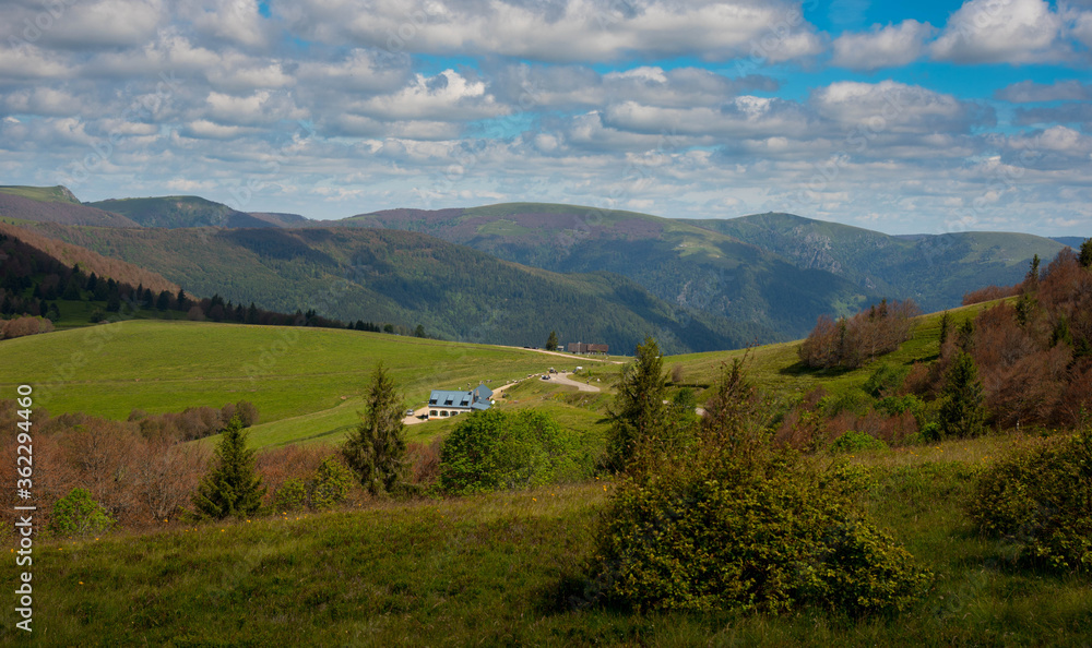 Fototapeta premium Bergwelt der Vogesen im Frühsommer