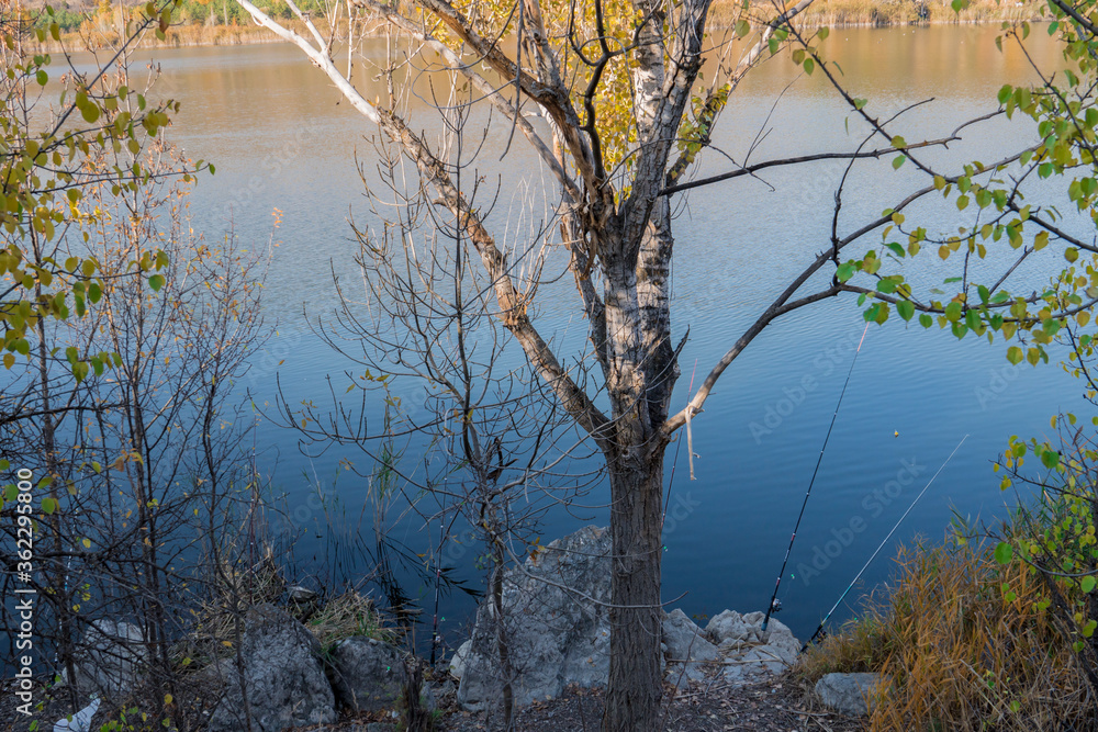 Obraz premium Lake View in the fall