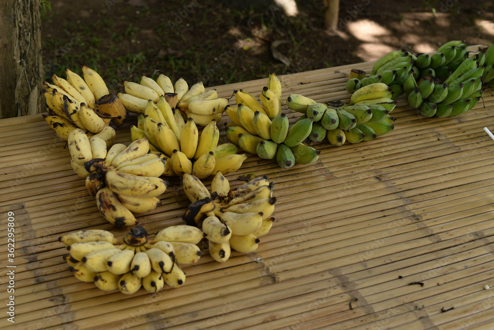 Yellow and green banana on bamboo table Yellow and green banana on bamboo table
