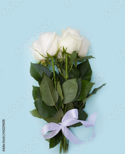 Bouquet of white roses on blue  background, white ribbon. Template , concept for Wedding , St. Valentine's Day, Mother's Day, Birthday , women's day, 8 march greeting card