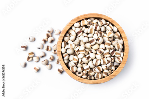 Closeup white Job's tears ( Adlay millet or pearl millet ) in wooden bowl isolated on white background . Top view. Flat lay.