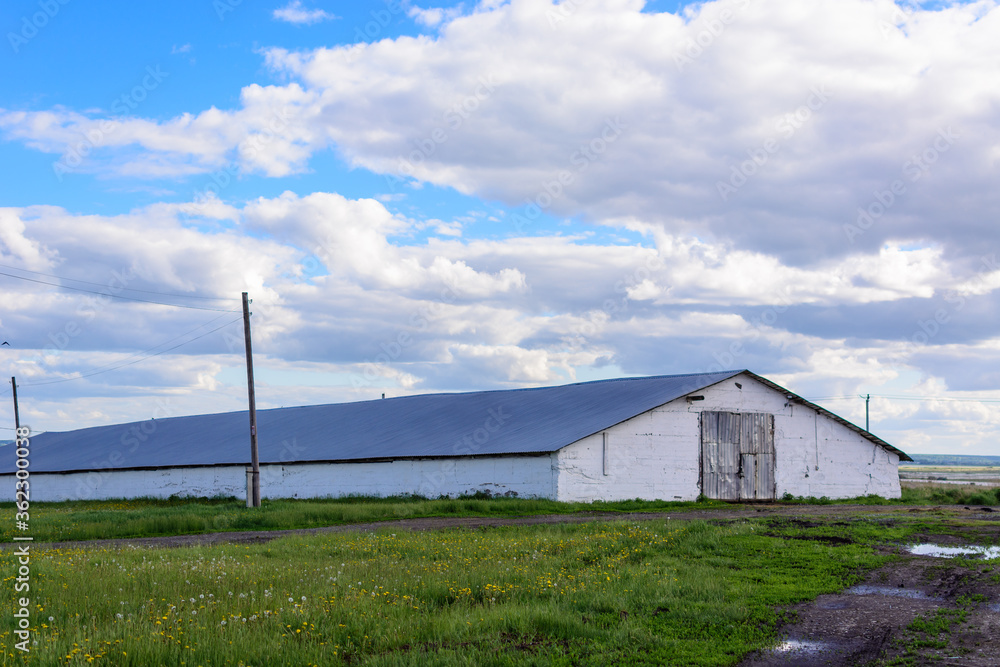 Huge cow barn in vacant lot in cloudy weather. Huge cow barn in vacant lot in cloudy weather.