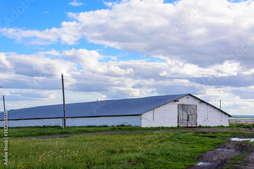 Huge cow barn in vacant lot in cloudy weather.