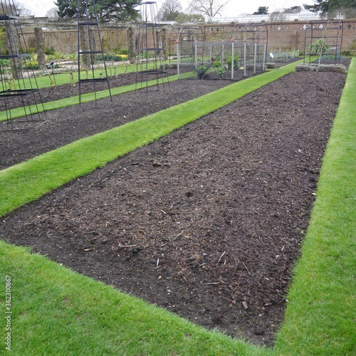 empty vegetable bed on allotment