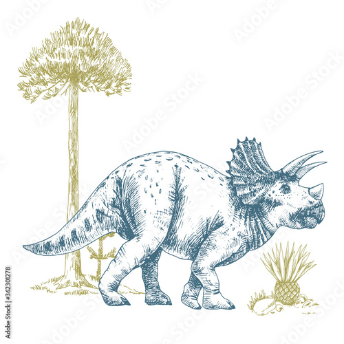 Beautiful composition with cute vector Triceratops dinosaur illustrations.