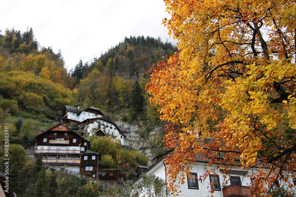 autumn mountain landscape in austria