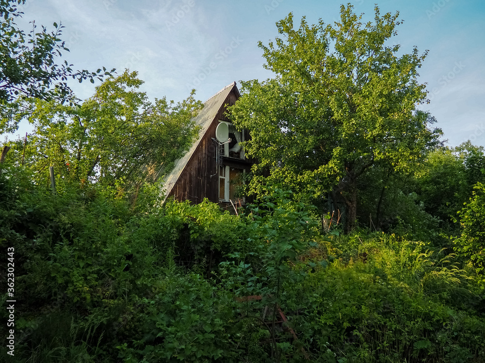 Fototapeta premium photo of an old abandoned house on an overgrown plot