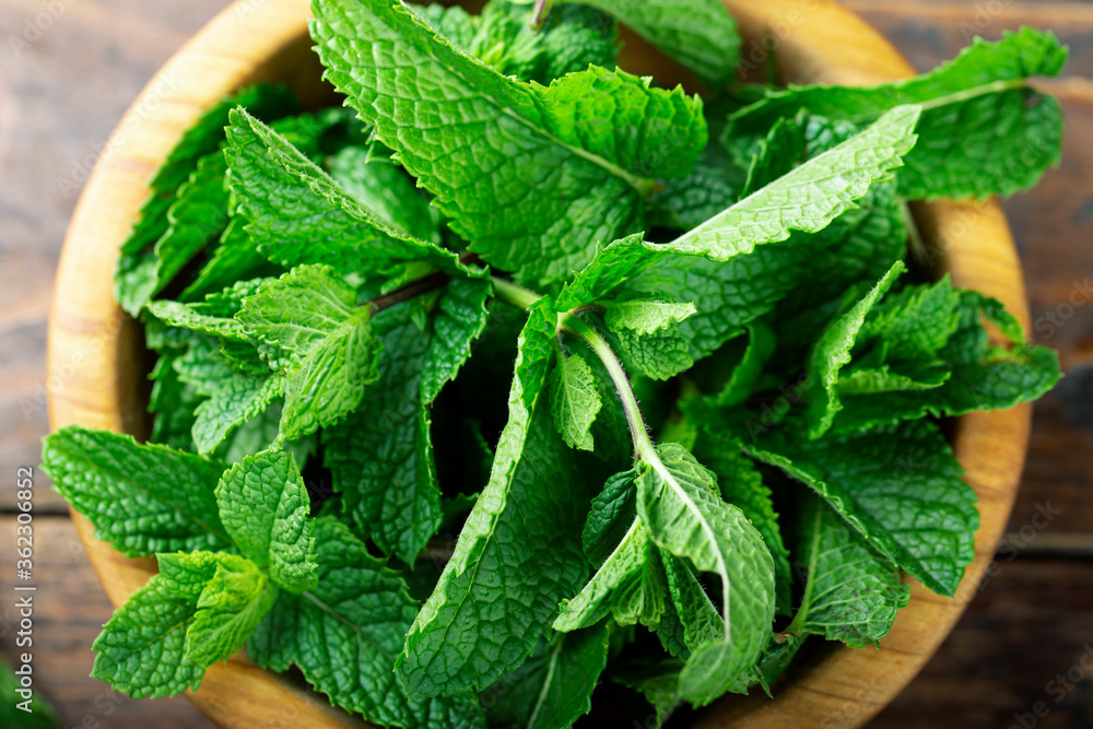 Green fresh mint in a bowl on the wooden table Green fresh mint in a bowl on the wooden table