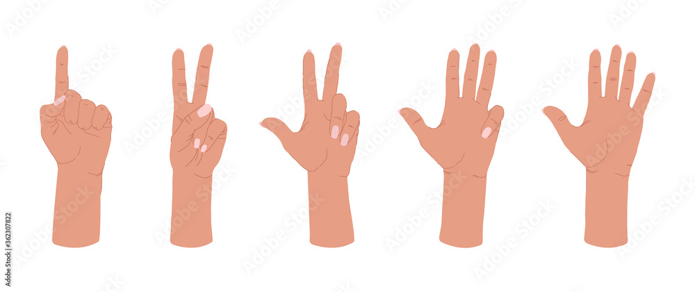Obraz premium Various gestures of human hands isolated on a white background. Vector flat illustration of female hands in different situations. Vector design elements for infographic, web, internet, presentation.