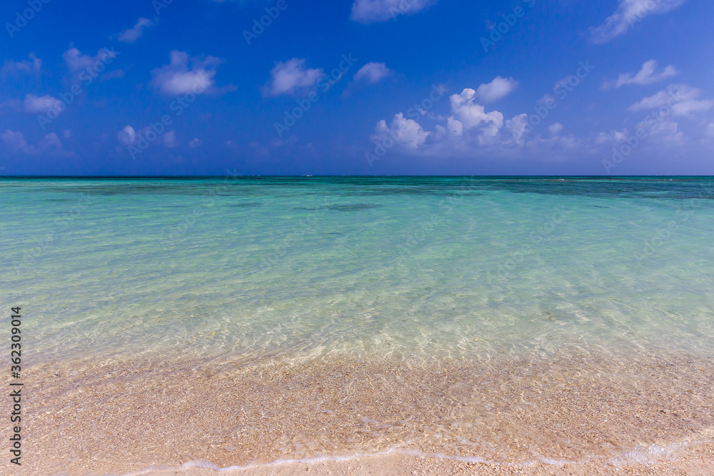 Obraz premium リゾートビーチ