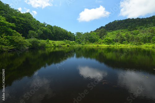 池風景