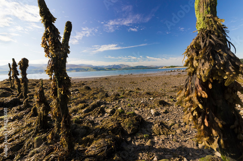 Snowdonia Mountain range vista from the Menai Strait at Lleiniog Beach, Isle of Anglesey, North Wales photo