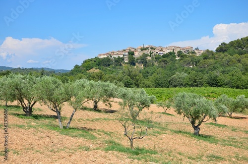 Fototapeta Grambois medieval village in Provence-Alpes-Côte d’Azur on lavender route, blue sky background