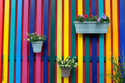 Fototapeta Naklejka Na Ścianę i Meble -  colourful garden fence with flower baskets