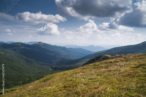 Fototapeta Naklejka Na Ścianę i Meble -  beautiful picturesque photo of the Ukrainian mountains of the Carpathians