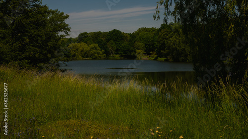 Beautiful views in the Silesian park in Chorzów. Ready for entry.