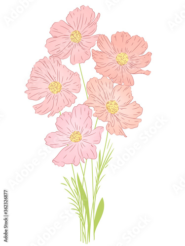 bouquet of delicate pink flowers © Tashsat