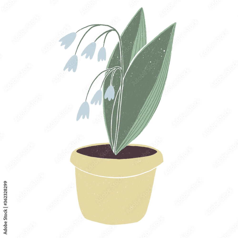 Figure lilies of the valley in a pot on a white background. Figure lilies of the valley in a pot on a white background.
