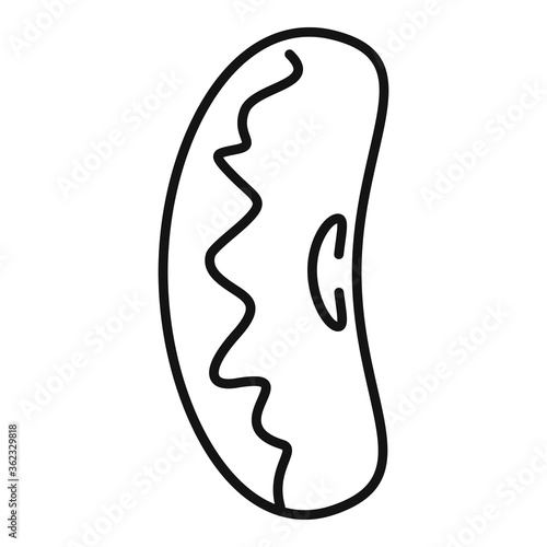 Legume kidney bean icon. Outline legume kidney bean vector icon for web design isolated on white background