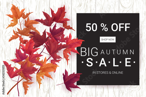 Big Autumn sale. Fall sale trendy design template. Can be used for flyers, banners or posters. Vector illustration with colorful autumn leaves 
