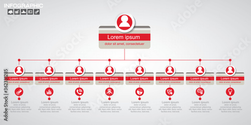 Rectangle Organization Chart Infographics, People Icon, Business Structure, Vector Illustration.