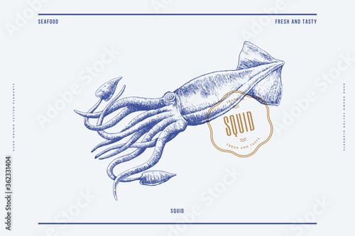 Hand-drawn image of a large squid on a light background. Retro picture for the menu of fish restaurants, markets, and shops. Vector illustration in vintage engraving style.